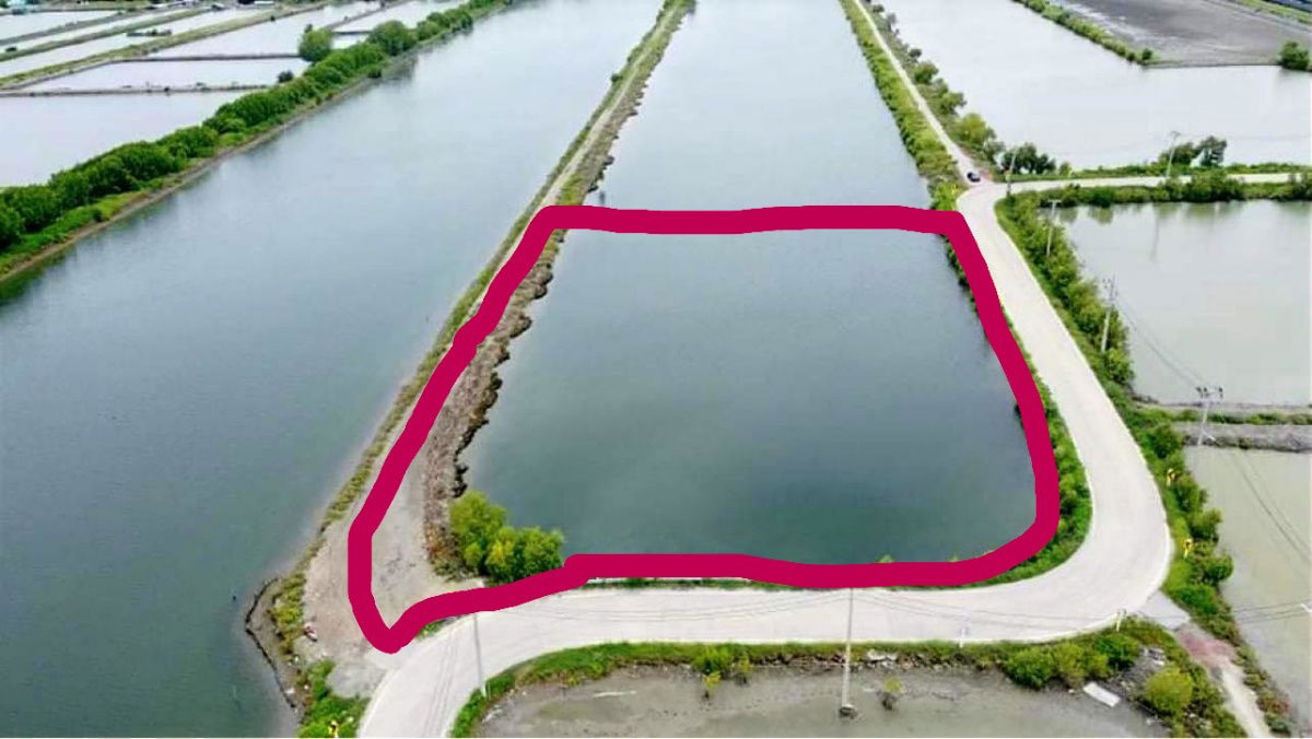 picture Land in Samut Sakhon, Phanthai Norasing  5,796 m – 3 Rai, 3 Ngan, 49 Square Wah  - 1/5