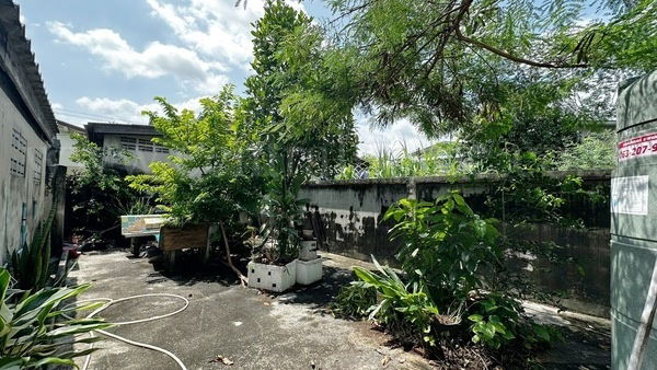 รูป บ้านเดี่ยว พร้อมที่ดิน 93 ตร.วา พหลโยธิน 52 ราคาถูก ทำเลดี - รูปที่ 14/16