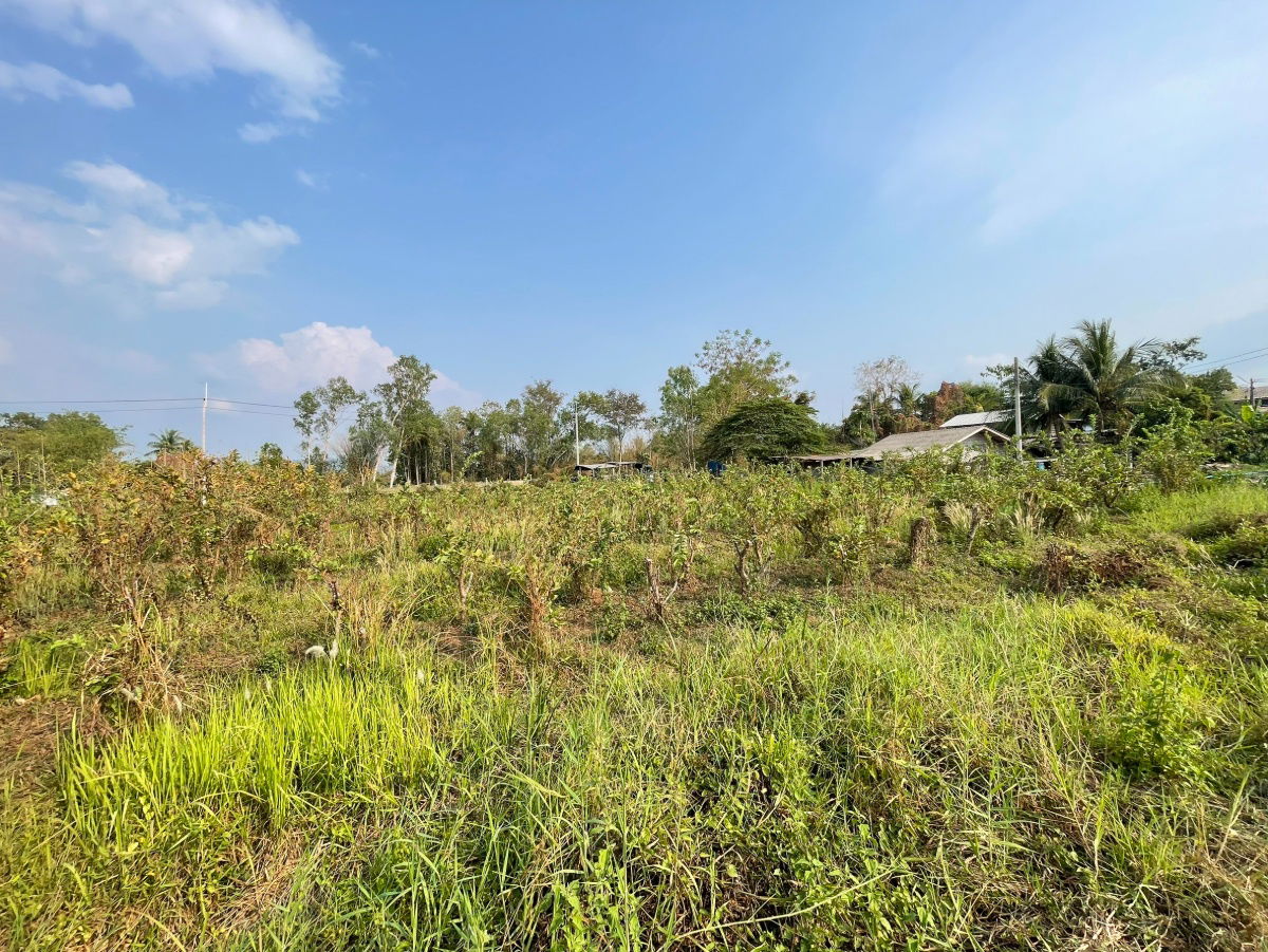 รูป ขายที่ดิน  อำเภอเมืองนครนายก ใกล้แยกศรีนาวา จ.นครนายก  - รูปที่ 10/10