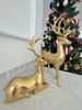 listing thumbnail image 12
