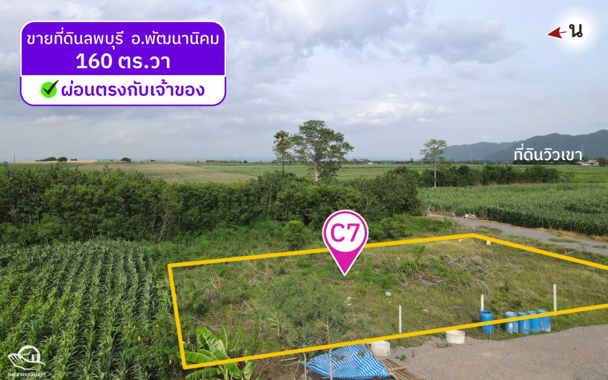 picture [C7]📢Land for Sale at Lop Buri Province. *Mountain view, Phattha Nikhom District, Area 160 sq.wa - 4/8
