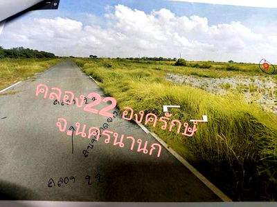 ที่ดิน นครนายก : ขายด่วน ที่ดินเปล่า จ.นครนายก คลอง22 ขนาด 310 ตรว. พื้นที่ติดกัน