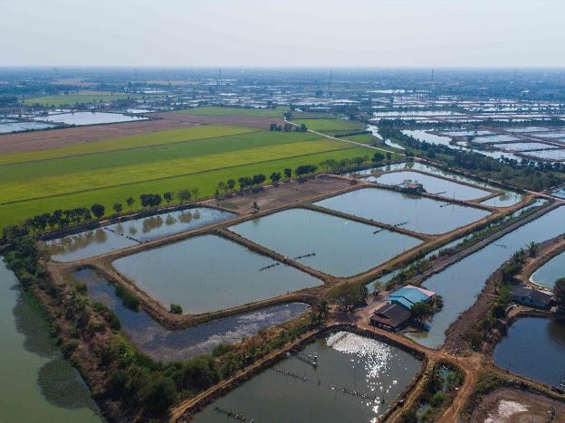 picture Selling 40 rai of vacant land in Bangkhla District, Chachoengsao Province, suitable for farming or buying for storage! - 18/25
