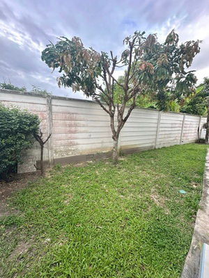 picture FOR RENT THE VILLAGE BANGNA - WONGWAEN 2 / 3 bedrooms 2 bathrooms / 36 Sqw. 140 Sqm. **28,000** CLOSE TO MEGA BANGNA - 11/15