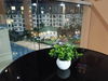 listing thumbnail image 28