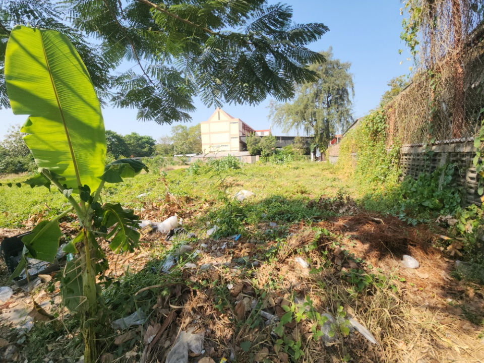 picture Prime Large Land Plot at Only THB 50,000 per sq.wah – It Truly Exists! Accessible from Lasalle Soi 48, Bearing Soi 39, and Sridan Soi 21.   - 6/12