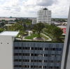 listing thumbnail image 22