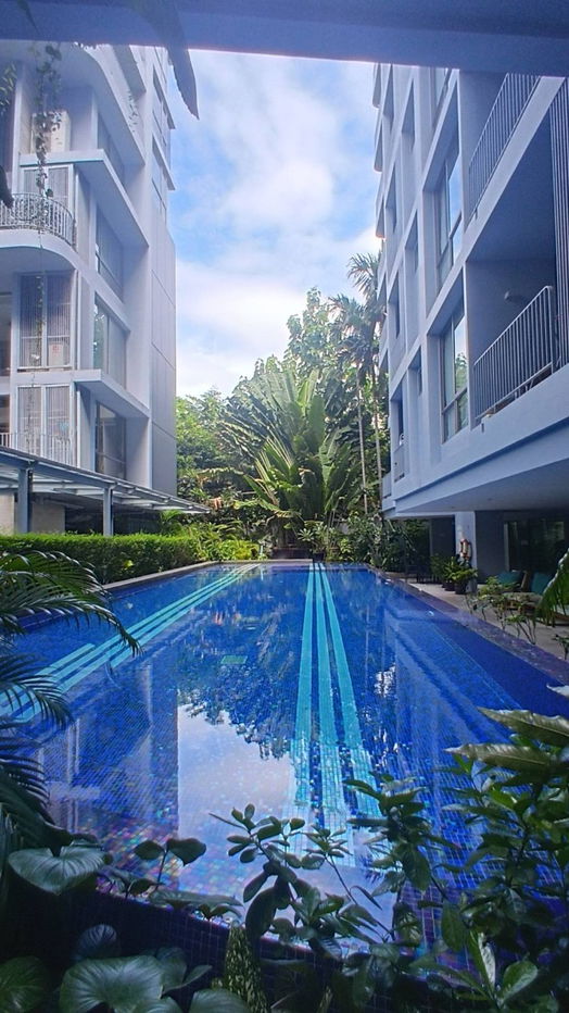 รูป Downtown Sukhumvit 49 For Rent /1 ห้องนอน เลี้ยงสัตว์ได้อย่างเปิดเผย Line @joinmeliving - รูปที่ 11/13