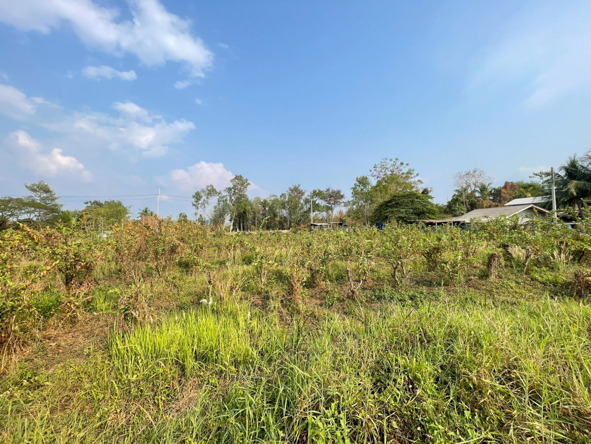 รูป ขายที่ดิน  อำเภอเมืองนครนายก ใกล้แยกศรีนาวา จ.นครนายก  - รูปที่ 9/10