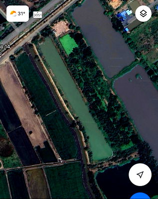 ที่ดิน บ้านนา นครนายก : ขายที่ดิน9ไร่ อำเภอ บ้านนา จังหวัดนครนายก 