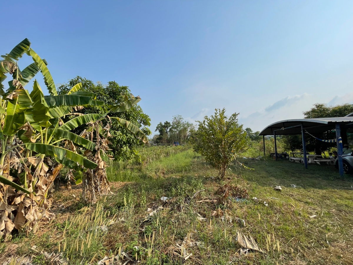 รูป ขายที่ดิน  อำเภอเมืองนครนายก ใกล้แยกศรีนาวา จ.นครนายก  - รูปที่ 2/10