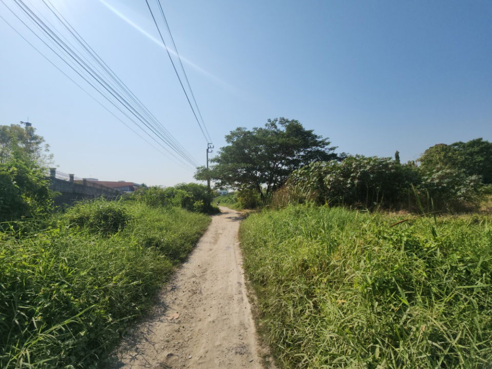 picture Prime Large Land Plot at Only THB 50,000 per sq.wah – It Truly Exists! Accessible from Lasalle Soi 48, Bearing Soi 39, and Sridan Soi 21.   - 8/12
