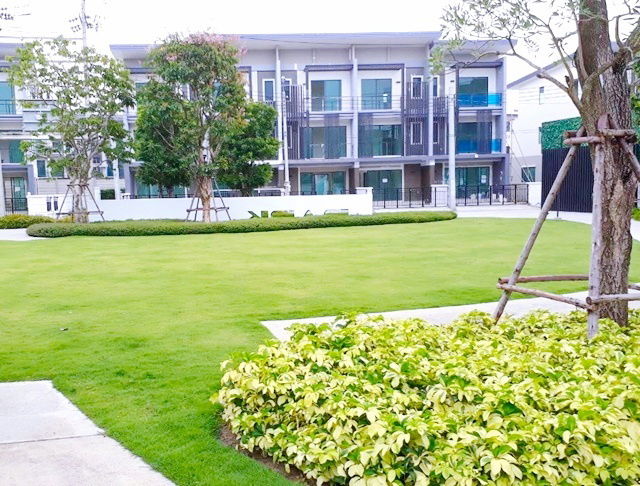 picture Central Westgate Northville 2.8 km. 4 a/c for rent Town Avenue MRT SamYaek BangYai walk 200m. 3Fl. 2 - 6/8