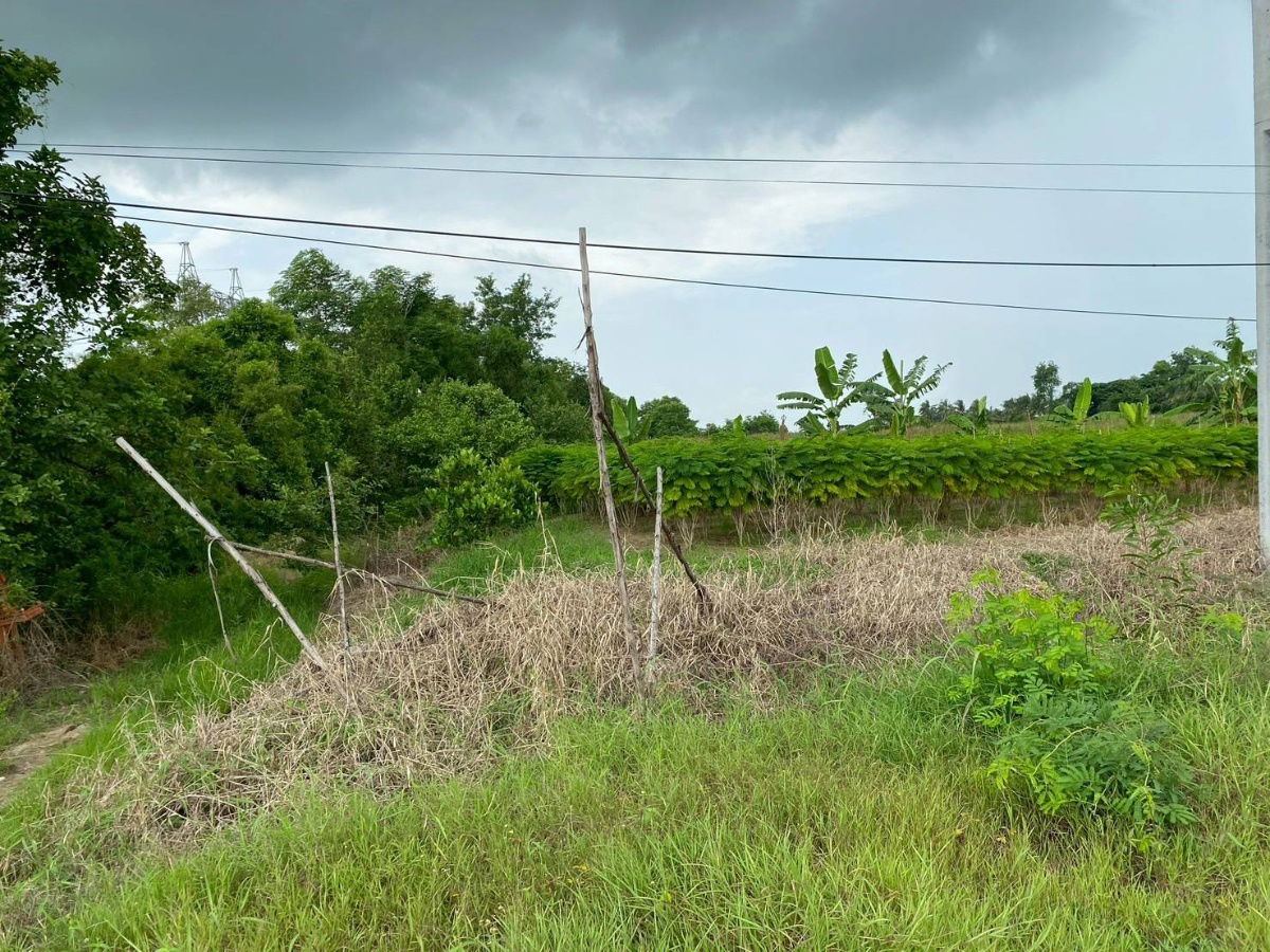 picture Land for sale on a 4-lane road, 13 rai, 1 ngan, 31.6 sq.w., Ban Sang, Prachin Buri - 7/10