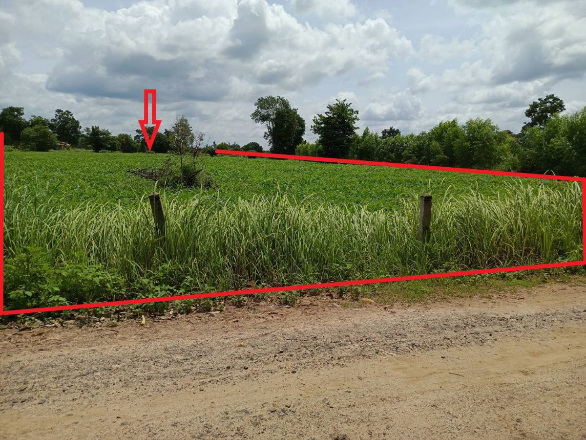 รูป ขายที่ดิน 7 ไร่ ติดถนน 2 ด้าน ใกล้ ม.อุบล - รูปที่ 4/10