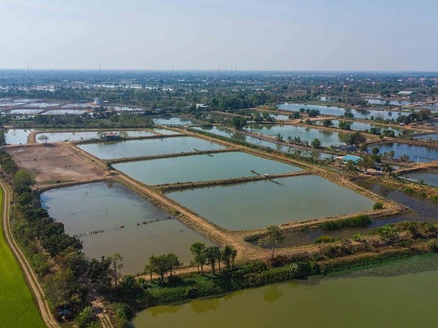 picture Selling 40 rai of vacant land in Bangkhla District, Chachoengsao Province, suitable for farming or buying for storage! - 16/25