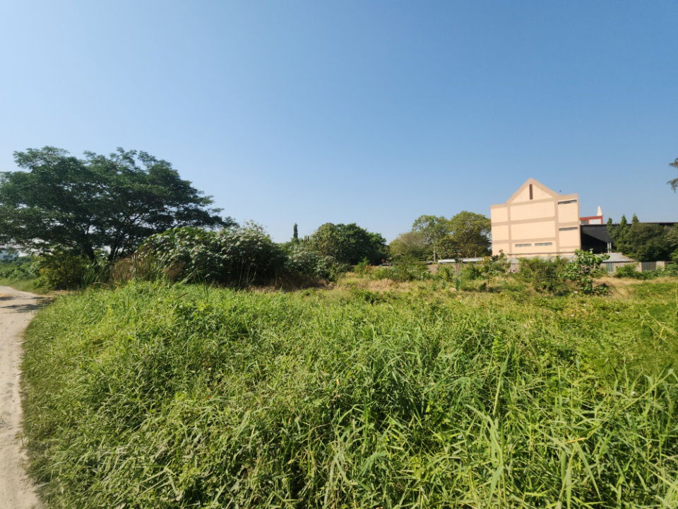 picture Prime Large Land Plot at Only THB 50,000 per sq.wah – It Truly Exists! Accessible from Lasalle Soi 48, Bearing Soi 39, and Sridan Soi 21.   - 7/12