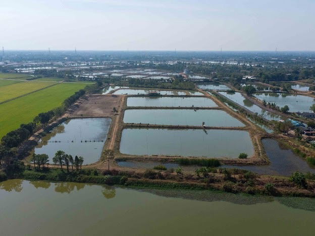 picture Selling 40 rai of vacant land in Bangkhla District, Chachoengsao Province, suitable for farming or buying for storage! - 5/25