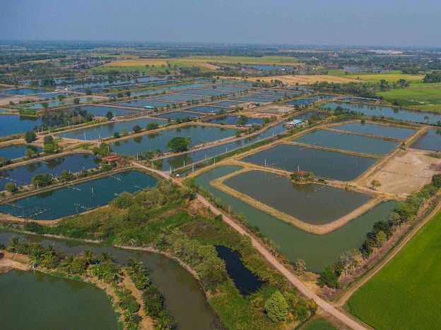 picture Selling 40 rai of vacant land in Bangkhla District, Chachoengsao Province, suitable for farming or buying for storage! - 9/25