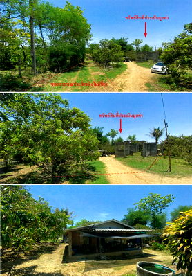 Houses for sale Chiang Mai : บ้านเดี่ยว 1488 square meter Chiang Mai Chom Thong Khuang Pao for ติดต่อธนาคาร THB