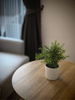 listing thumbnail image 6