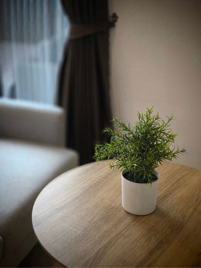 รูป Noble Ambience Sukhumvit 42  | ราคา 17,000 บาท | ห้องสวย ห้องใหม่ เฟอร์นิเจอร์ครบ - รูปที่ 7/11