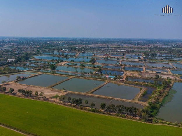 picture Selling 40 rai of vacant land in Bangkhla District, Chachoengsao Province, suitable for farming or buying for storage! - 11/25