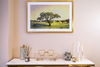 listing thumbnail image 14