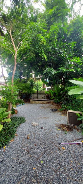 รูป ขายบ้านเดี่ยว บรรยากาศร่มรื่น เคซี เนเชอรัลวิวล์ รามคำแหง - รูปที่ 15/15