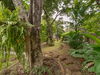 listing thumbnail image 45