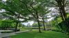 listing thumbnail image 18
