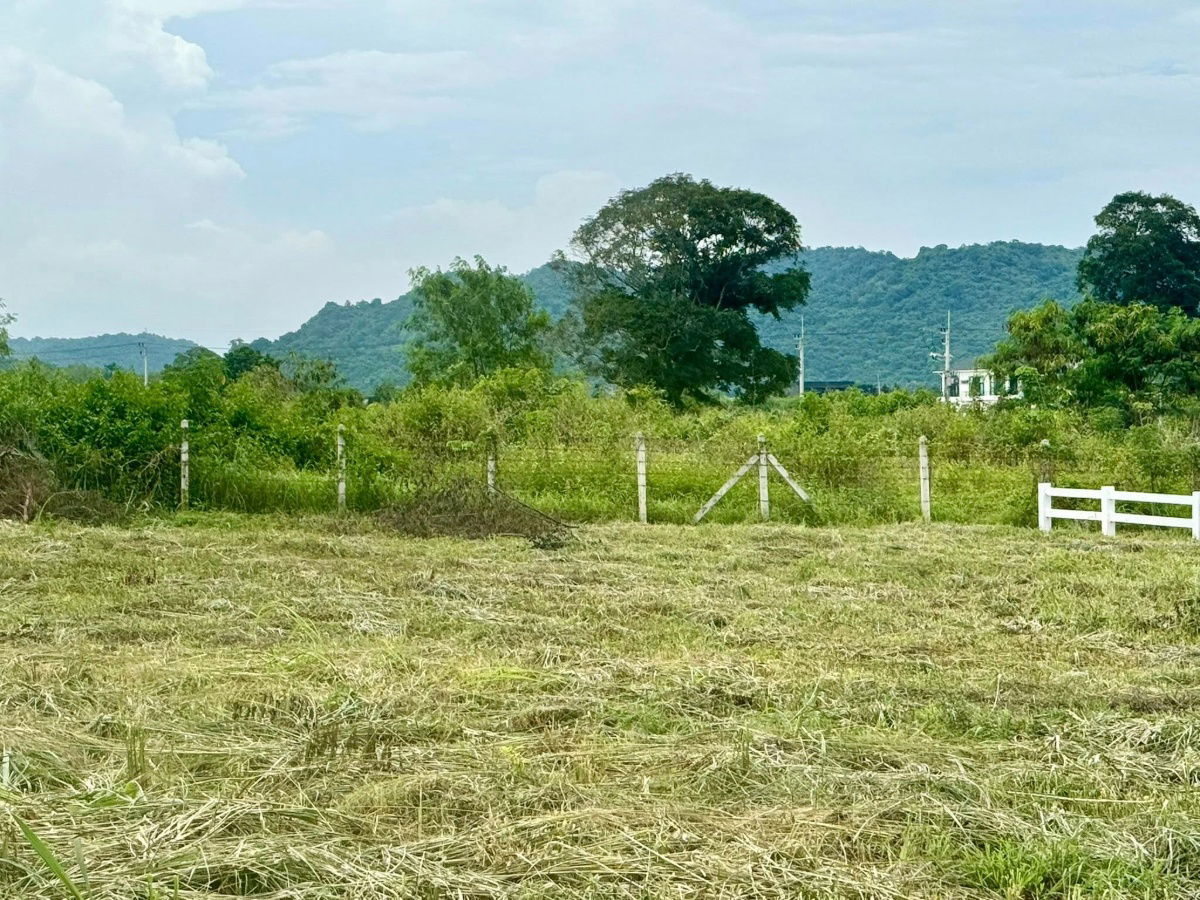 picture 🟢For Sale🟢Land for sale in Khao Yai, 5 rai, Khao Yai view, beautiful view, red Garuda deed, available 📱ADD LINE @nathong97 (reply ⚡ 24 Hr) P580 - 5/9