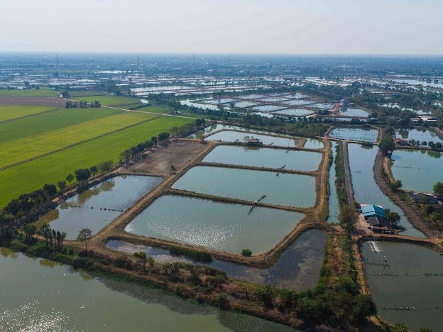 picture Selling 40 rai of vacant land in Bangkhla District, Chachoengsao Province, suitable for farming or buying for storage! - 2/25