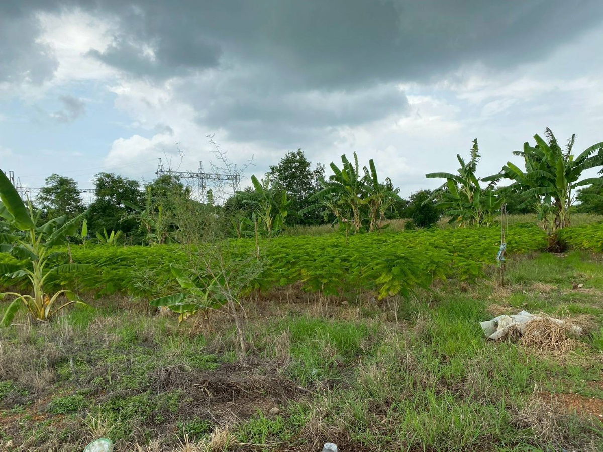 picture Land for sale on a 4-lane road, 13 rai, 1 ngan, 31.6 sq.w., Ban Sang, Prachin Buri - 5/10