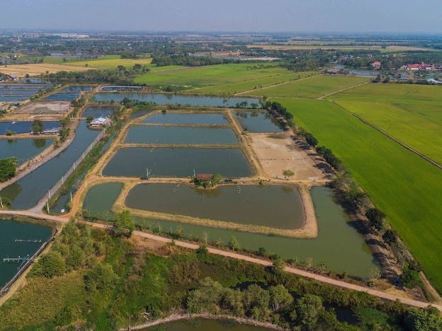 picture Selling 40 rai of vacant land in Bangkhla District, Chachoengsao Province, suitable for farming or buying for storage! - 6/25