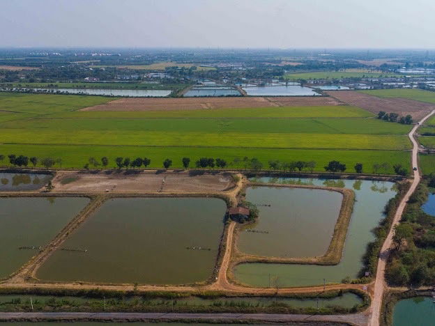 picture Selling 40 rai of vacant land in Bangkhla District, Chachoengsao Province, suitable for farming or buying for storage! - 12/25