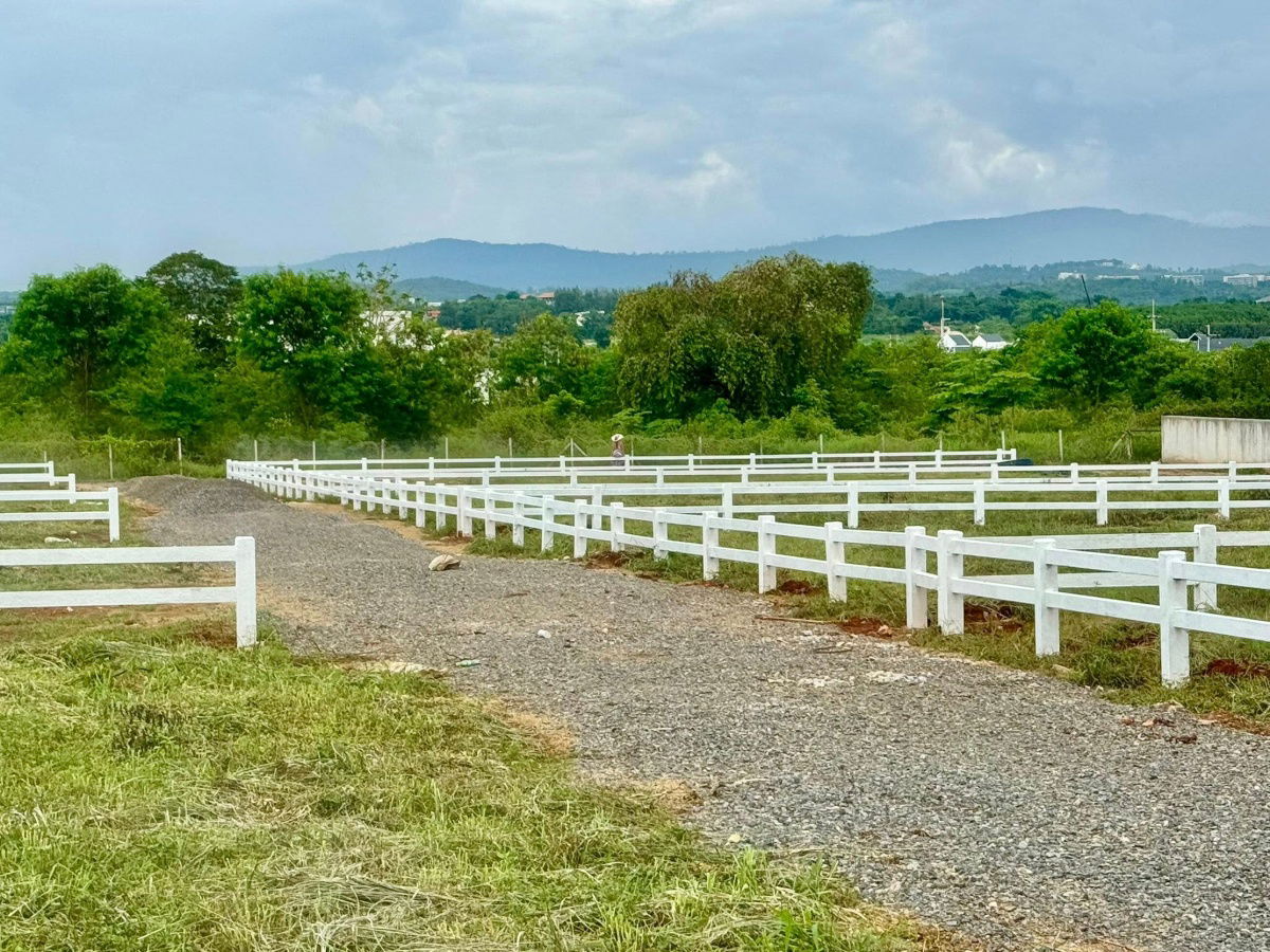 picture 🟢For Sale🟢Land for sale in Khao Yai, 5 rai, Khao Yai view, beautiful view, red Garuda deed, available 📱ADD LINE @nathong97 (reply ⚡ 24 Hr) P580 - 7/9