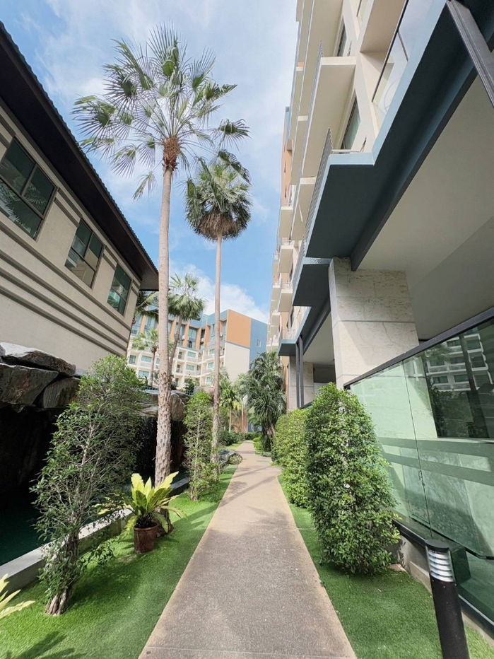 picture Laguna​ Beach​2​ for​ rent​ Short​ term/Long​ term - 41/50