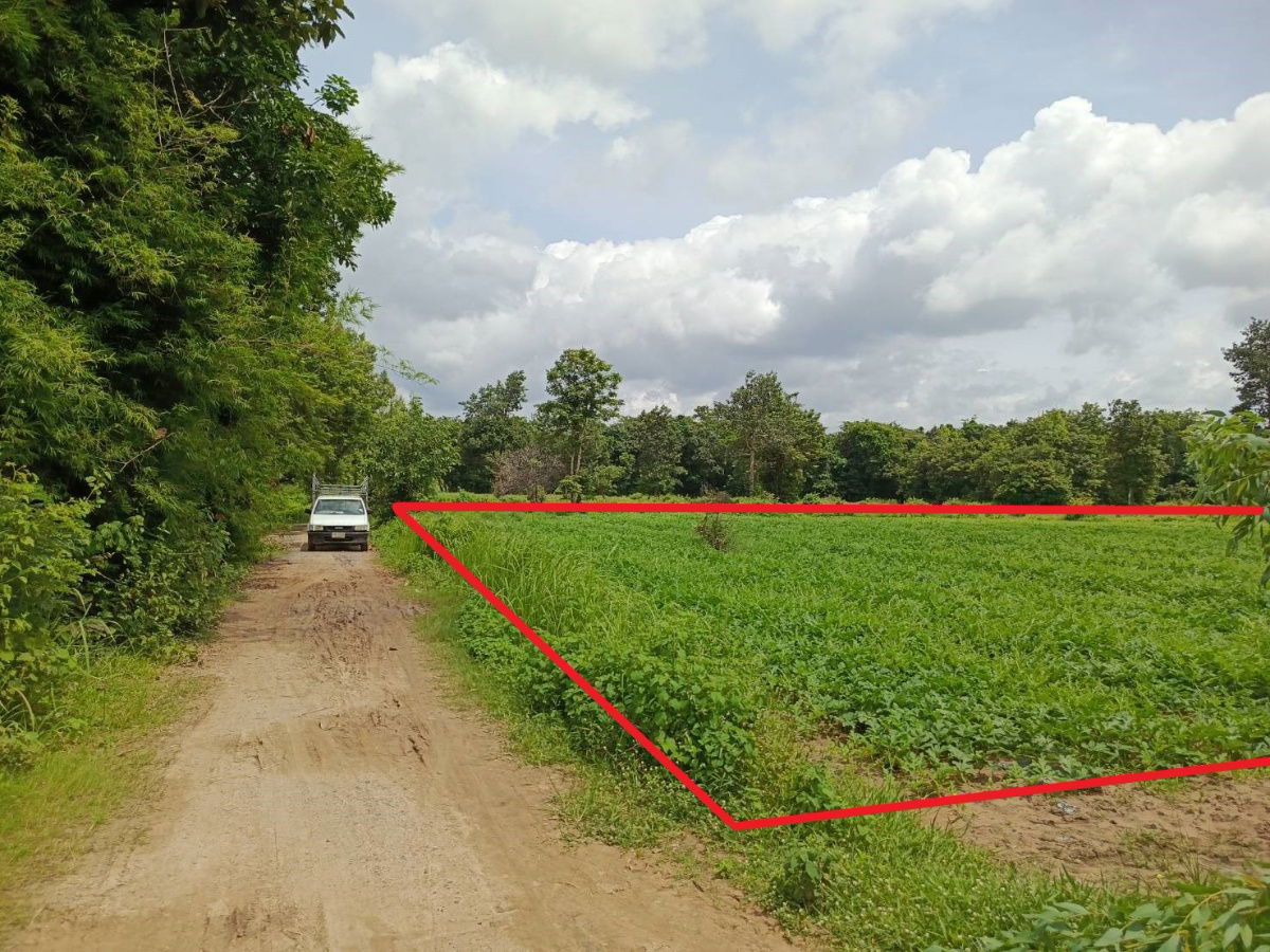 รูป ขายที่ดิน 7 ไร่ ติดถนน 2 ด้าน ใกล้ ม.อุบล - รูปที่ 5/10