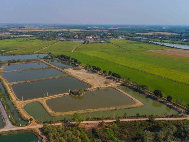 picture Selling 40 rai of vacant land in Bangkhla District, Chachoengsao Province, suitable for farming or buying for storage! - 7/25