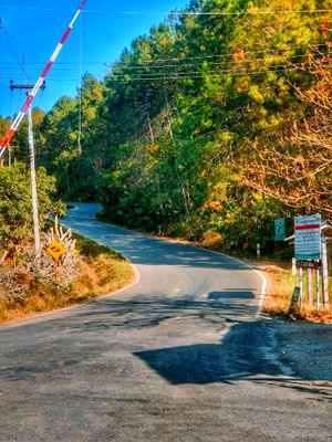 Land for sale Chiang Dao : sale in Chiang Dao with longan orchard, 2 plots next to water, 182 meters surrounding water, Chiang Dao District, view of Doi Luang Chiang Dao