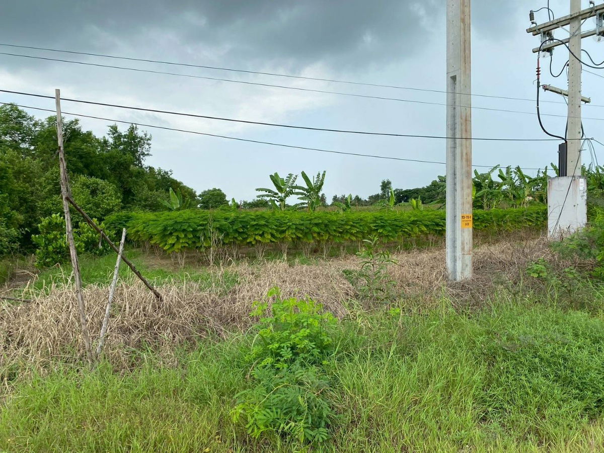 picture Land for sale on a 4-lane road, 13 rai, 1 ngan, 31.6 sq.w., Ban Sang, Prachin Buri - 9/10