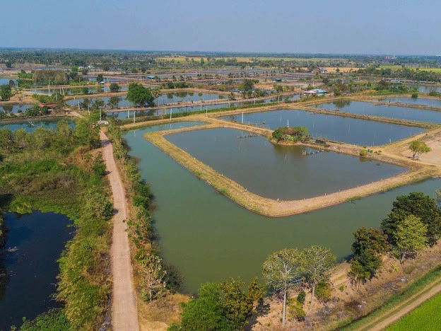 picture Selling 40 rai of vacant land in Bangkhla District, Chachoengsao Province, suitable for farming or buying for storage! - 20/25