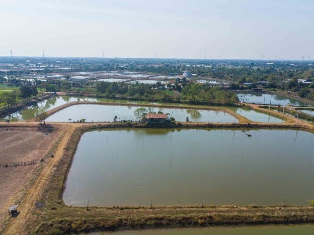 picture Selling 40 rai of vacant land in Bangkhla District, Chachoengsao Province, suitable for farming or buying for storage! - 17/25