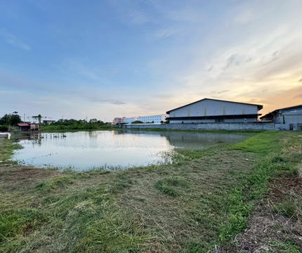 Land for sale, 2 rai, Phraeksa, Mueang Samut Prakan