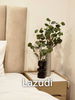 listing thumbnail image 15