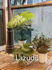 listing thumbnail image 8