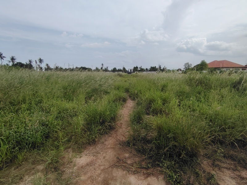 picture 2-3-82 Rai | Home Development Land  In a Fast Developing Residential Area! - 8/11