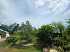 listing thumbnail image 17
