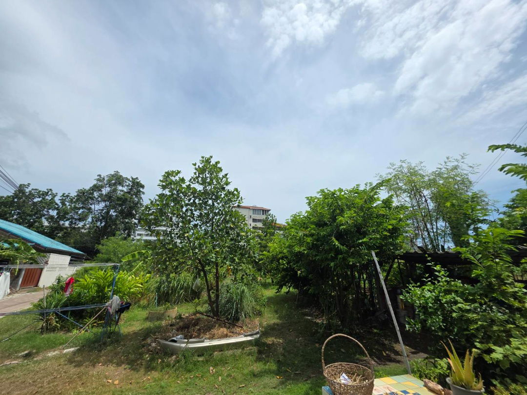 picture Land for Sale at Najomtien Beach – 68 sq.wah - 18/18